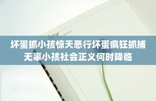 坏蛋抓小孩惊天恶行坏蛋疯狂抓捕无辜小孩社会正义何时降临