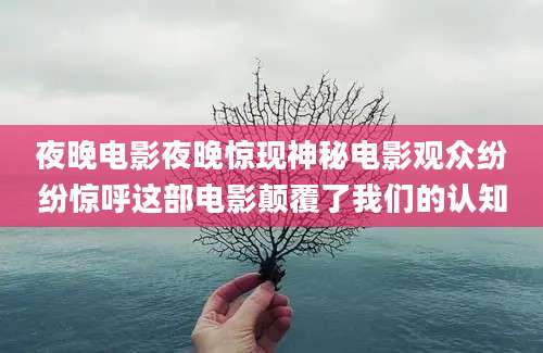 夜晚电影夜晚惊现神秘电影观众纷纷惊呼这部电影颠覆了我们的认知