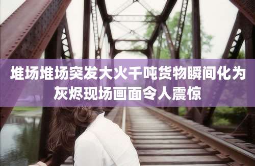 堆场堆场突发大火千吨货物瞬间化为灰烬现场画面令人震惊