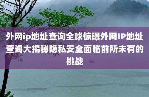 外网ip地址查询全球惊曝外网IP地址查询大揭秘隐私安全面临前所未有的挑战
