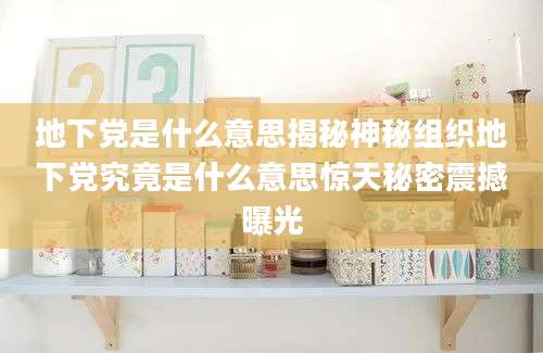 地下党是什么意思揭秘神秘组织地下党究竟是什么意思惊天秘密震撼曝光