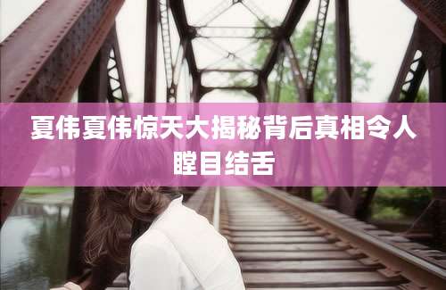 夏伟夏伟惊天大揭秘背后真相令人瞠目结舌