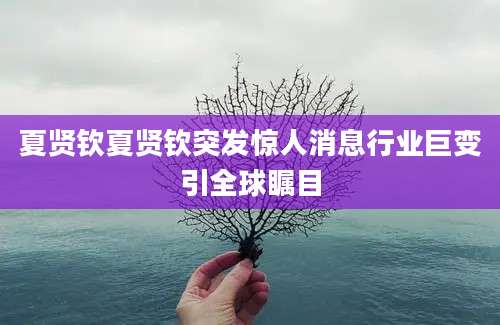 夏贤钦夏贤钦突发惊人消息行业巨变引全球瞩目