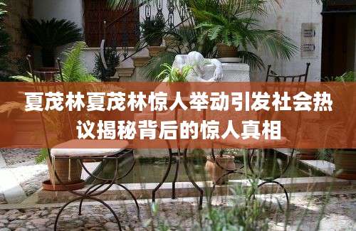 夏茂林夏茂林惊人举动引发社会热议揭秘背后的惊人真相