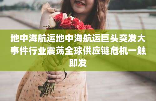 地中海航运地中海航运巨头突发大事件行业震荡全球供应链危机一触即发