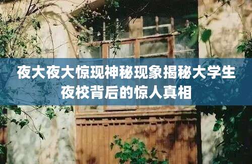 夜大夜大惊现神秘现象揭秘大学生夜校背后的惊人真相