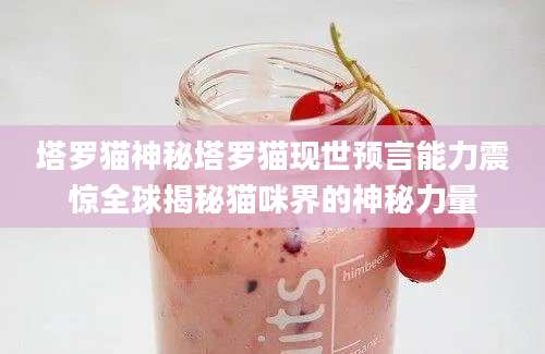 塔罗猫神秘塔罗猫现世预言能力震惊全球揭秘猫咪界的神秘力量