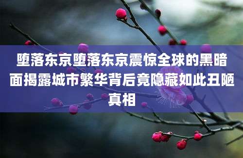 堕落东京堕落东京震惊全球的黑暗面揭露城市繁华背后竟隐藏如此丑陋真相