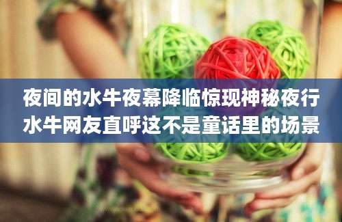 夜间的水牛夜幕降临惊现神秘夜行水牛网友直呼这不是童话里的场景