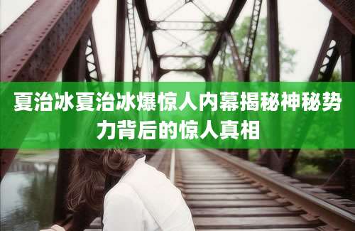 夏治冰夏治冰爆惊人内幕揭秘神秘势力背后的惊人真相