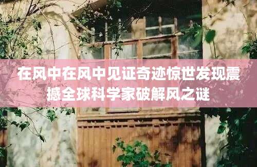 在风中在风中见证奇迹惊世发现震撼全球科学家破解风之谜