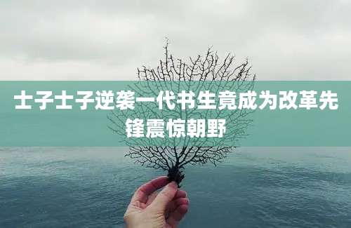 士子士子逆袭一代书生竟成为改革先锋震惊朝野