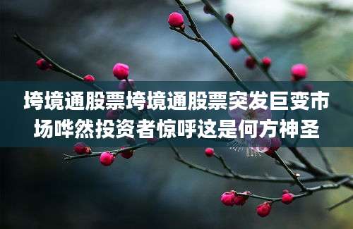 垮境通股票垮境通股票突发巨变市场哗然投资者惊呼这是何方神圣