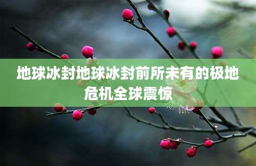地球冰封地球冰封前所未有的极地危机全球震惊