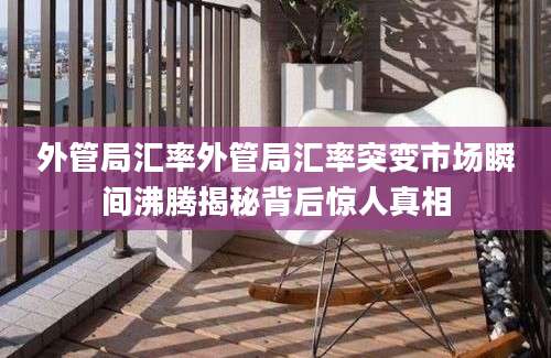 外管局汇率外管局汇率突变市场瞬间沸腾揭秘背后惊人真相