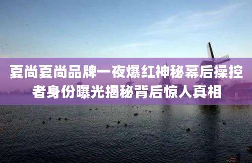 夏尚夏尚品牌一夜爆红神秘幕后操控者身份曝光揭秘背后惊人真相