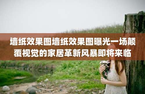 墙纸效果图墙纸效果图曝光一场颠覆视觉的家居革新风暴即将来临