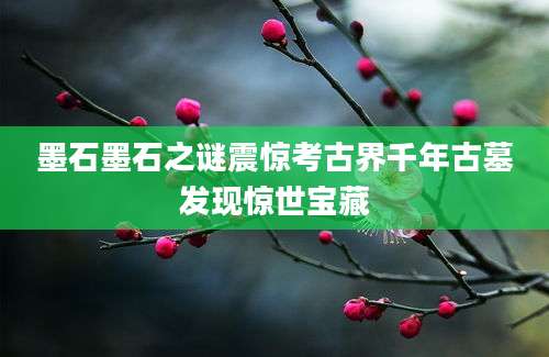 墨石墨石之谜震惊考古界千年古墓发现惊世宝藏