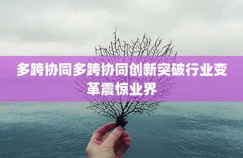 多跨协同多跨协同创新突破行业变革震惊业界
