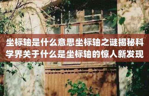 坐标轴是什么意思坐标轴之谜揭秘科学界关于什么是坐标轴的惊人新发现