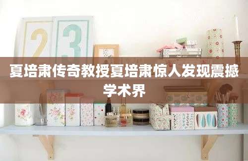 夏培肃传奇教授夏培肃惊人发现震撼学术界