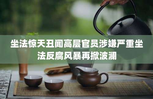 坐法惊天丑闻高层官员涉嫌严重坐法反腐风暴再掀波澜