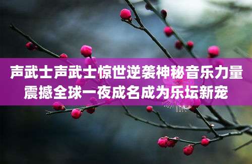 声武士声武士惊世逆袭神秘音乐力量震撼全球一夜成名成为乐坛新宠