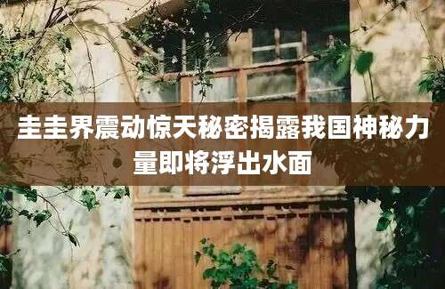 圭圭界震动惊天秘密揭露我国神秘力量即将浮出水面
