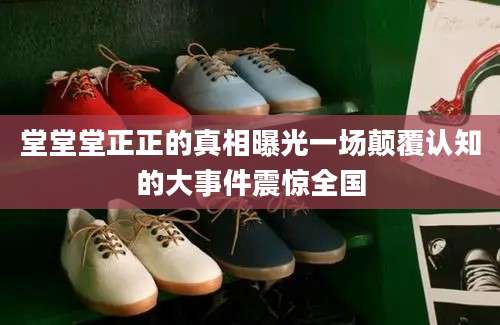 堂堂堂正正的真相曝光一场颠覆认知的大事件震惊全国