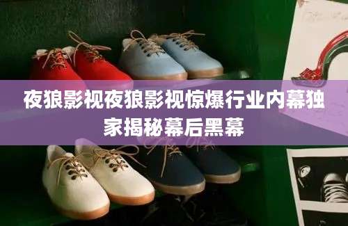 夜狼影视夜狼影视惊爆行业内幕独家揭秘幕后黑幕