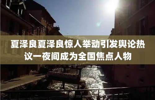 夏泽良夏泽良惊人举动引发舆论热议一夜间成为全国焦点人物