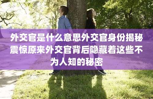 外交官是什么意思外交官身份揭秘震惊原来外交官背后隐藏着这些不为人知的秘密
