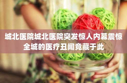 城北医院城北医院突发惊人内幕震惊全城的医疗丑闻竟藏于此