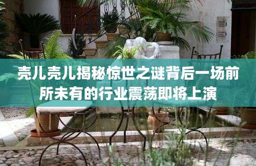 壳儿壳儿揭秘惊世之谜背后一场前所未有的行业震荡即将上演