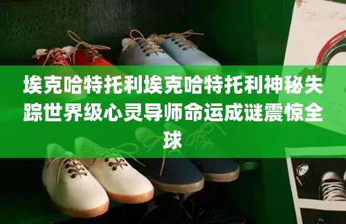 埃克哈特托利埃克哈特托利神秘失踪世界级心灵导师命运成谜震惊全球