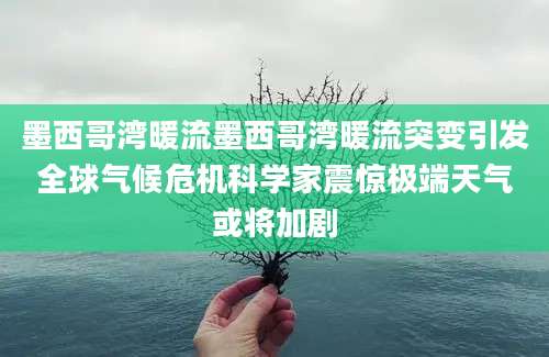 墨西哥湾暖流墨西哥湾暖流突变引发全球气候危机科学家震惊极端天气或将加剧