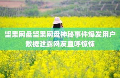 坚果网盘坚果网盘神秘事件爆发用户数据泄露网友直呼惊悚