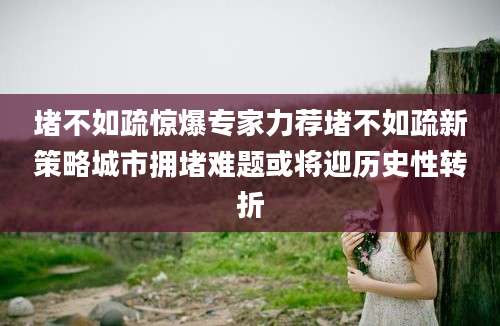 堵不如疏惊爆专家力荐堵不如疏新策略城市拥堵难题或将迎历史性转折