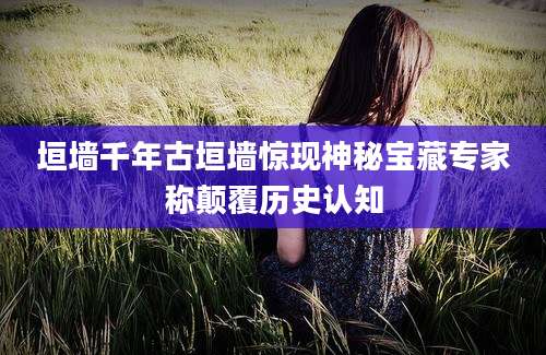 垣墙千年古垣墙惊现神秘宝藏专家称颠覆历史认知
