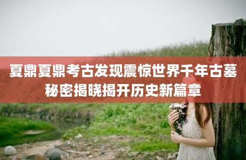 夏鼎夏鼎考古发现震惊世界千年古墓秘密揭晓揭开历史新篇章