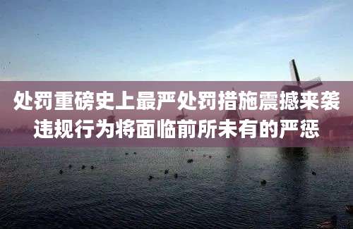处罚重磅史上最严处罚措施震撼来袭违规行为将面临前所未有的严惩