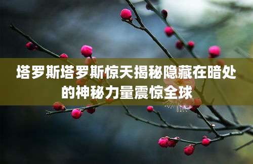 塔罗斯塔罗斯惊天揭秘隐藏在暗处的神秘力量震惊全球