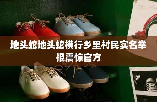 地头蛇地头蛇横行乡里村民实名举报震惊官方