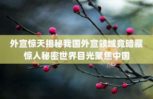 外宣惊天揭秘我国外宣领域竟暗藏惊人秘密世界目光聚焦中国