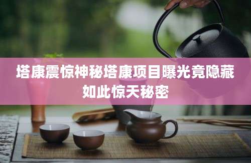 塔康震惊神秘塔康项目曝光竟隐藏如此惊天秘密