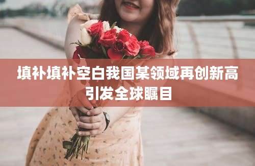 填补填补空白我国某领域再创新高引发全球瞩目
