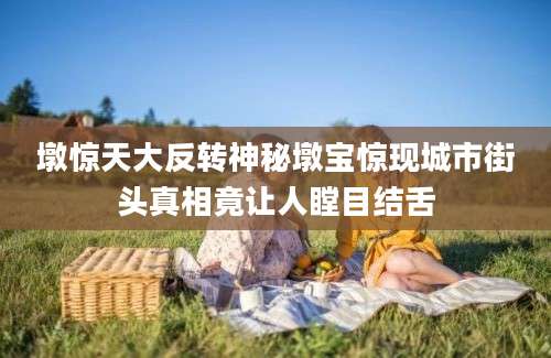 墩惊天大反转神秘墩宝惊现城市街头真相竟让人瞠目结舌