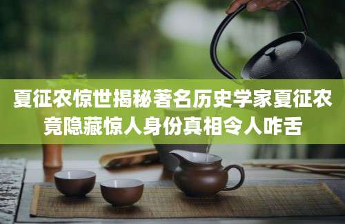 夏征农惊世揭秘著名历史学家夏征农竟隐藏惊人身份真相令人咋舌