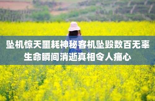 坠机惊天噩耗神秘客机坠毁数百无辜生命瞬间消逝真相令人痛心