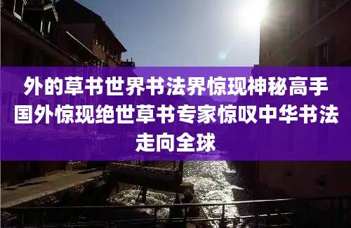 外的草书世界书法界惊现神秘高手国外惊现绝世草书专家惊叹中华书法走向全球